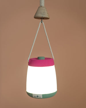 Firefly Lantern Pink + Mint Green