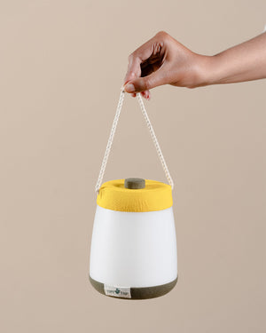 Firefly Lantern Yellow + Dark Green